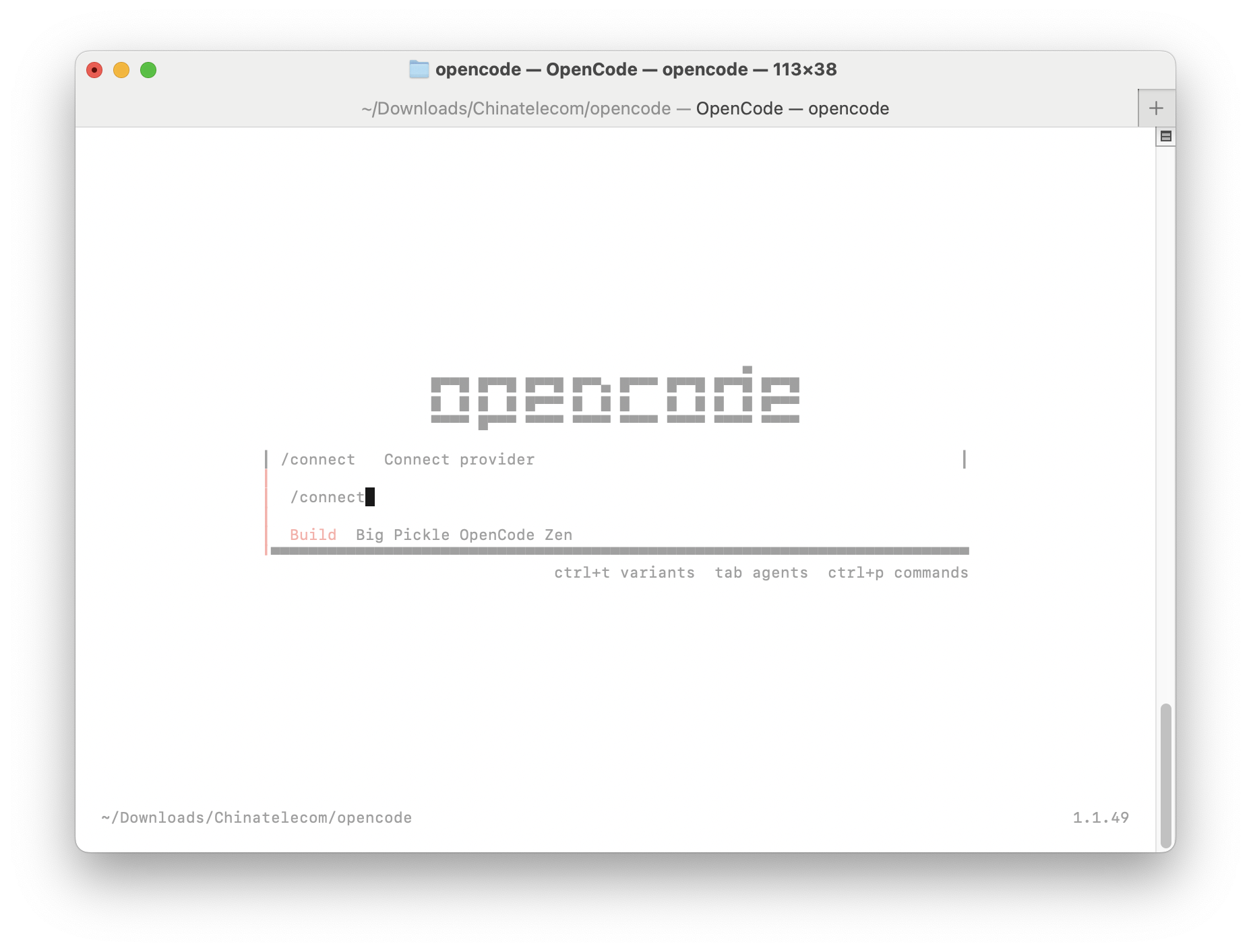 OpenCode | AI STORE平台帮助文档